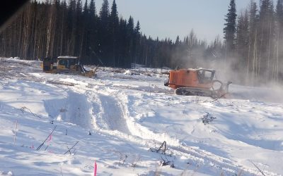 Which is the Right Choice? – Subsoiling vs Surface Mulching